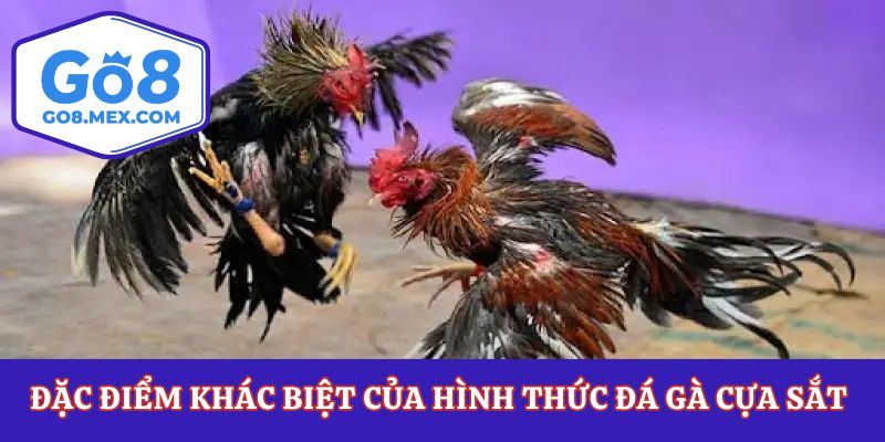 Đặc điểm khác biệt của hình thức đá gà cựa sắt 