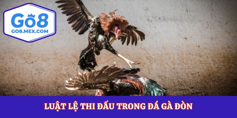 Luật lệ thi đấu trong đá gà đòn